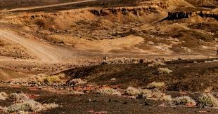 2024 赛季：道奇队山本由伸在季后赛对阵教士的生死战中投出 5 局零失分